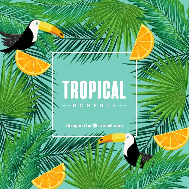 Vetor grátis fundo tropical com tucanos