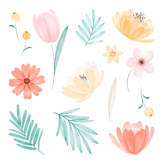 Ilustração de conjunto de flores em aquarela