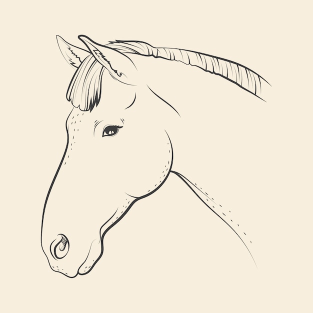 Ilustração de desenho de cabeça de cavalo desenhada à mão