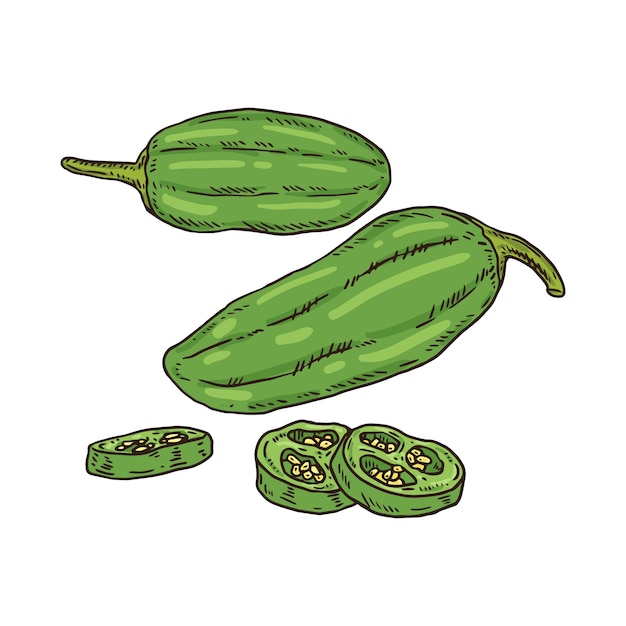 Vetor grátis ilustração de desenho de jalapeno desenhada à mão