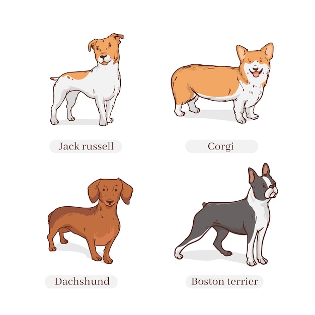 Vetor grátis ilustração de raças de cães desenhadas à mão