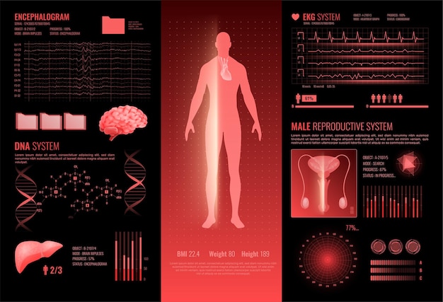 Vetor grátis layout de infográficos de interface médica hud com seções de informações reprodutivas masculinas ekg dna encefalografia