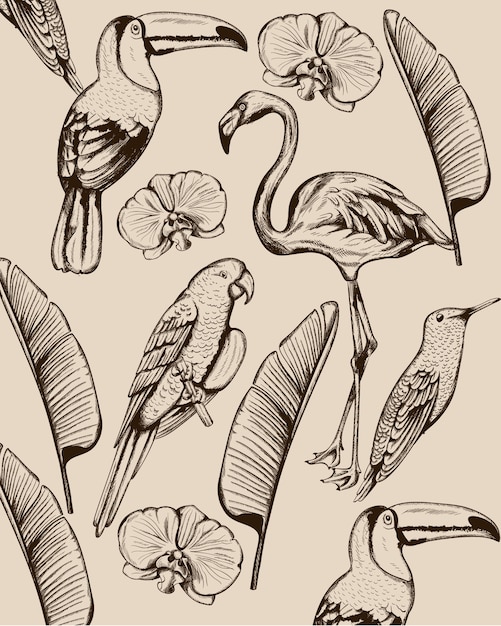 Vetor grátis linha arte composição de animais tropicais e folhas. flamingo, pássaro tucano, papagaio e andorinha