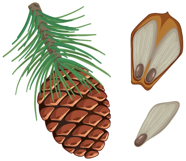Vetor grátis pinecorn com agulhas de pinheiro isoladas