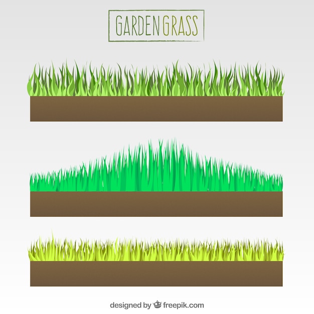 Vetor grátis variedade de grama do jardim