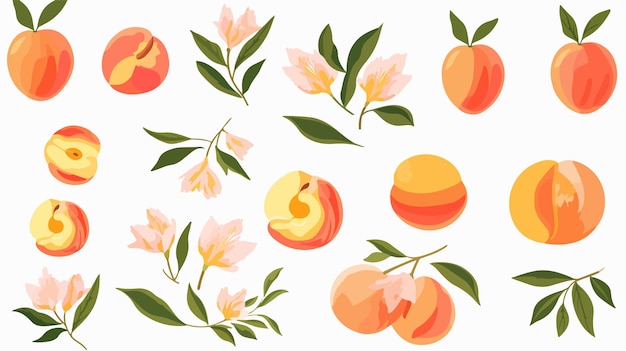 Vetor abstract peach set desenhado à mão colecção de ilustrações de pêssegos estéticos inteiros