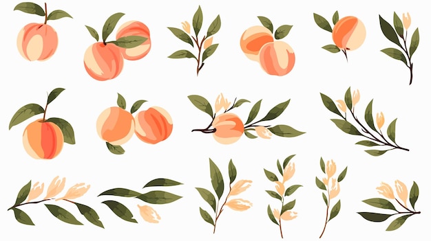 Vetor abstract peach set desenhado à mão colecção de ilustrações de pêssegos estéticos inteiros