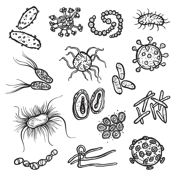 Bactérias e células de vírus
