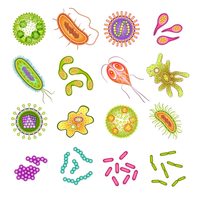 Bactérias e células de vírus