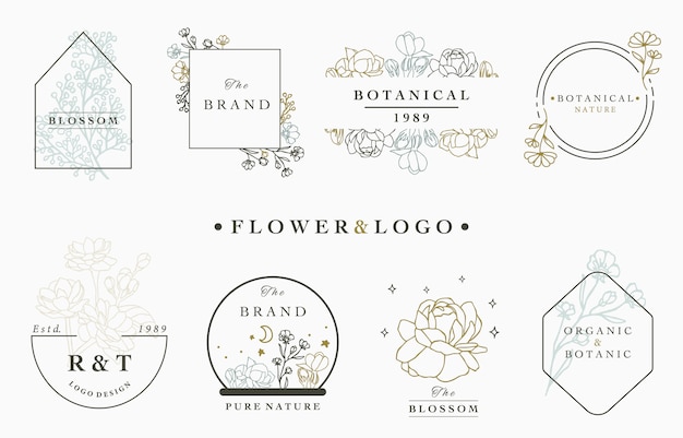 Vetor coleção de logotipo flor com folhas, geométrico, círculo, moldura quadrada.