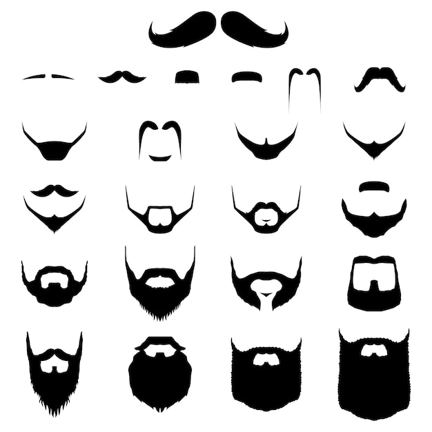 Conjunto de bigondas e variação de Beard Hipster