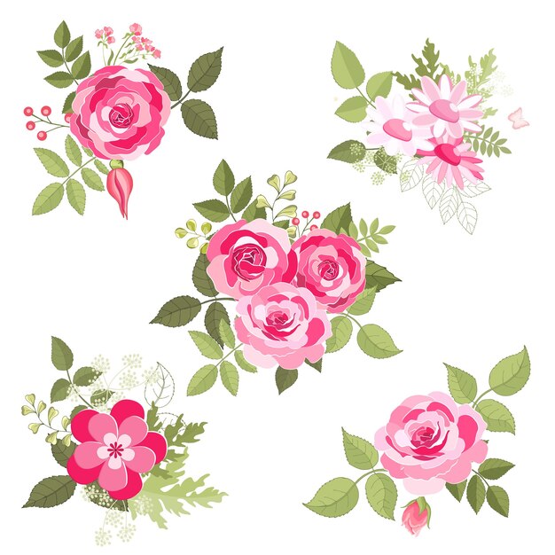 Vetor conjunto de flores a ilustração vetorial de cartão elegante rosa