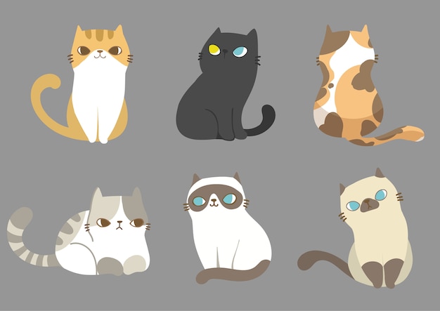 Vetor conjunto de gatos em poses diferentes.