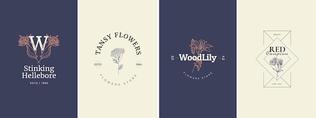 Conjunto de modelos de logotipo de flores silvestres