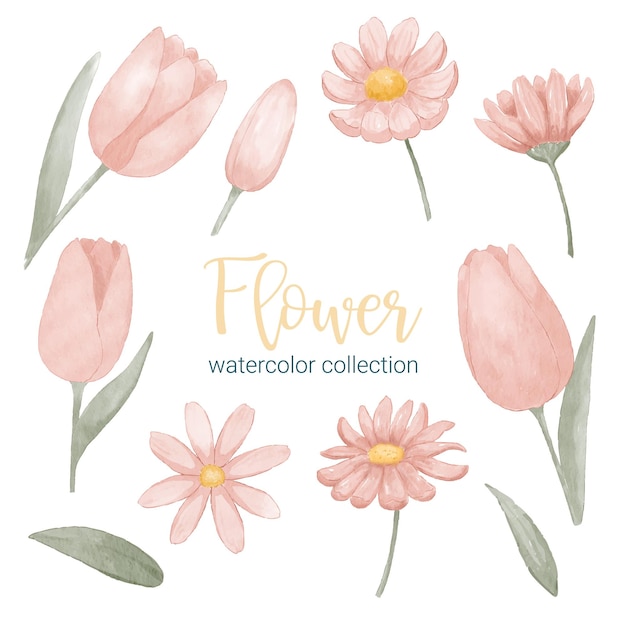 Conjunto de partes separadas e reunir um lindo buquê de flores em estilo de cores de água em ilustração vetorial plana de fundo branco