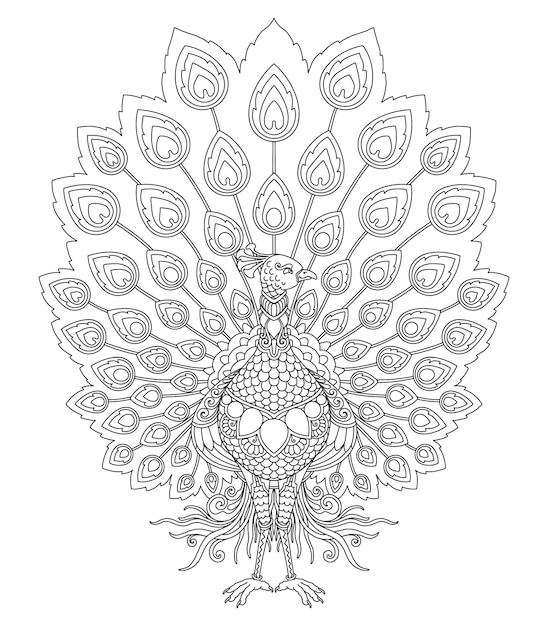 Desenho de mandala de pavão para impressão de página de colorir