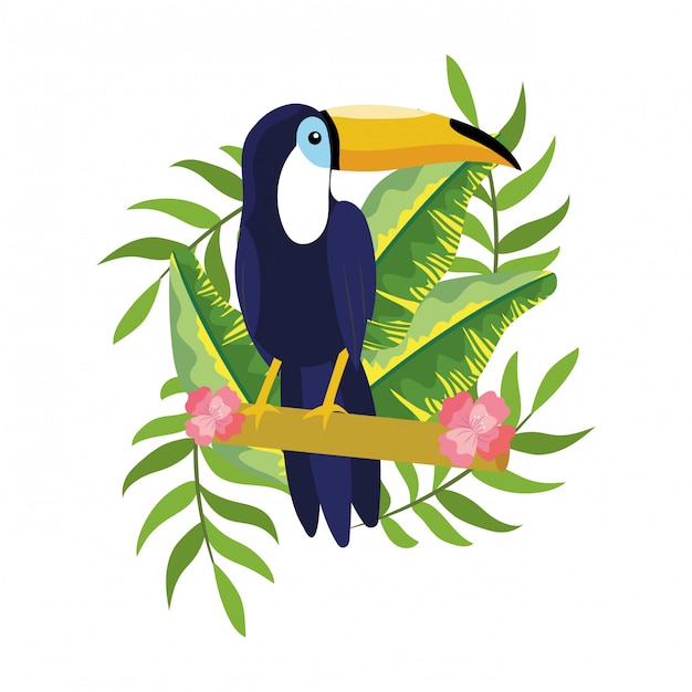 Vetor desenhos animados tropicais de tucano