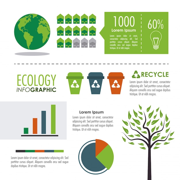 Ecologia Projeto Infográfico