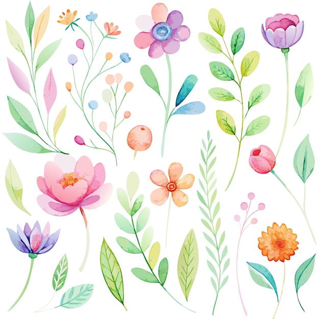 Vetor flores selvagens em aquarela ilustração digital perfeito para design de cartões de cartaz dia das mães aniversário decoração do dia dos namorados