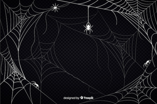 Fundo de teia de aranha de Halloween com aranhas