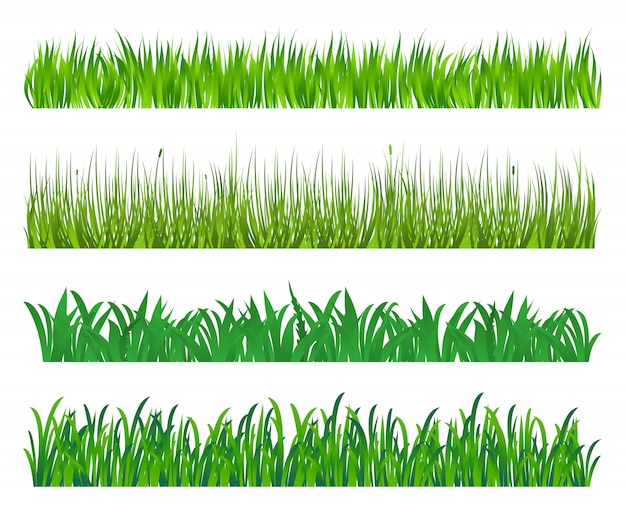 Grama verde e elementos de campo isolados no fundo branco