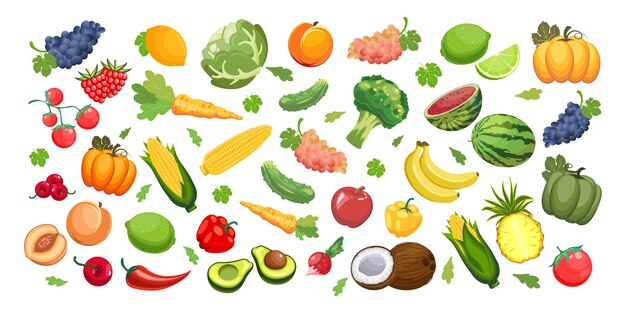 Vetor grande conjunto de frutas e legumes vetor de ilustração de agricultura alimentar