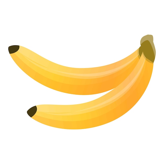 Ícone de ramo de banana Ícone de vetor de ramos de banana para design web isolado em fundo branco