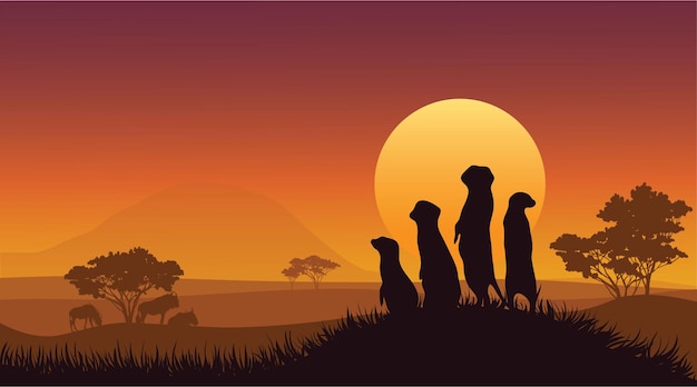 Ilustração vetorial Meerkats assistindo o pôr do sol