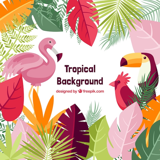 Vetor lindo fundo tropical com design plano