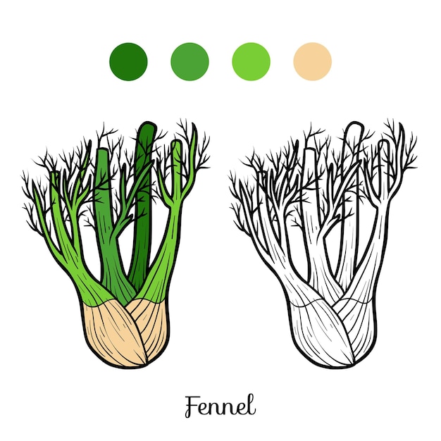 Vetor livro de colorir para crianças, erva-doce