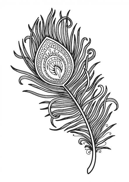 Mandala para colorir design de penas de pavão de página.