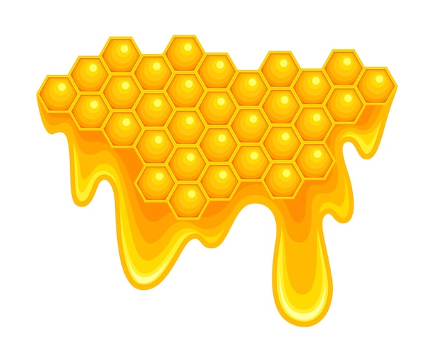 Mel com Células de Cera Hexagonais e Fluindo para Baixo Líquido Pegajoso Ilustração Vector omb