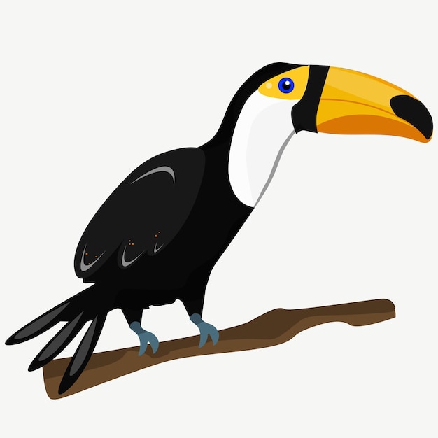 Vetor pássaro tucano em uma ilustração vetorial de verão de galho