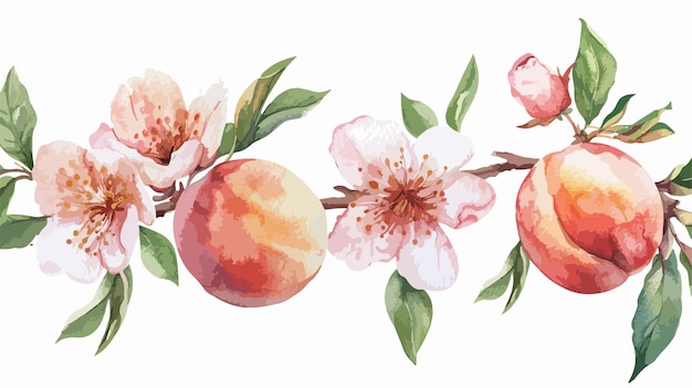 Vetor peixe vibrante com flores e folhas ilustração em aquarela