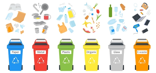 Vetor resíduos separados em diferentes contentores materiais orgânicos artigos descartáveis e papel lixo recipientes de gestão de reciclagem de lixo informações de vetores decentes