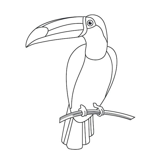 Vetor retrato de ramphastos toco sentado em um galho de árvore na selva