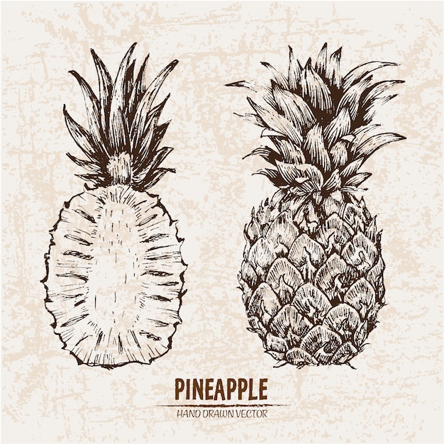 Vettore gratuito collezione ananas disegnata a mano