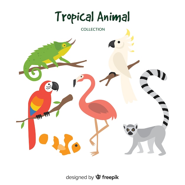 Vettore gratuito collezione di animali tropicali disegnati a mano