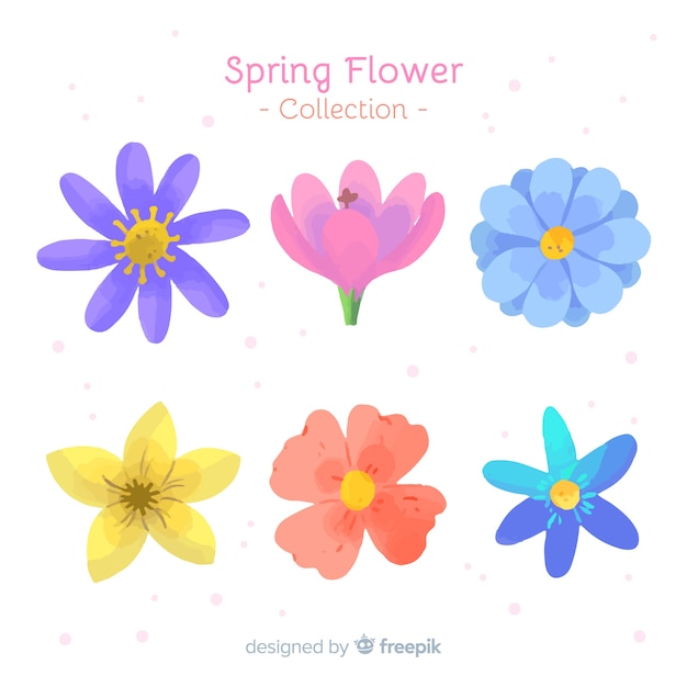 Vettore gratuito collezione di fiori primaverili disegnati a mano