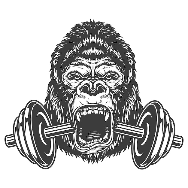 Concetto di bodybuilding con gorilla