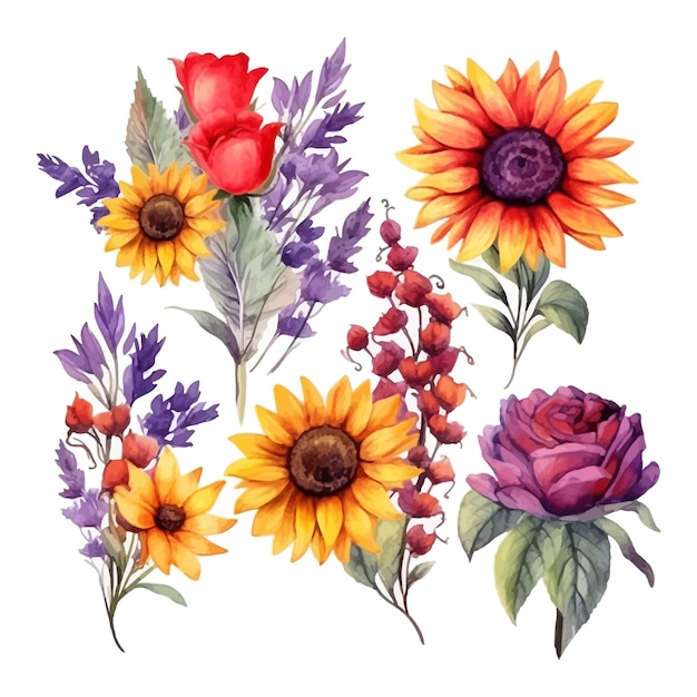 Set di fiori colorati di anemoni rossi lavanda girasole acquerello