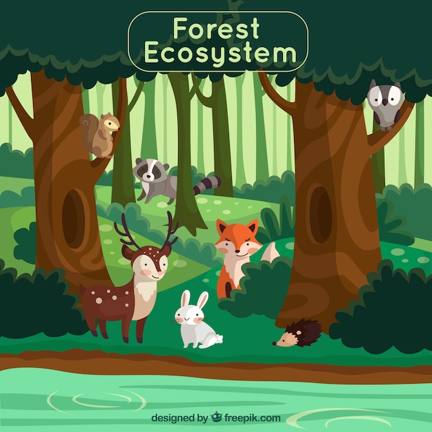 Concetto di ecosistema forestale con animali adorabili