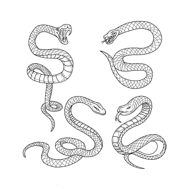 insieme di vettore delle illustrazioni di doodle disegnate a mano del serpente