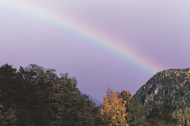 Gratis Foto green mountain onder rainbow