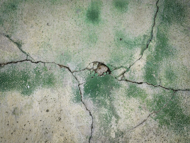 Gratis foto oude witte cement muur met groene verf op het