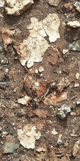 Gratis foto uitzicht op een natuurlandschap met droge grond en uitgedroogde bodem