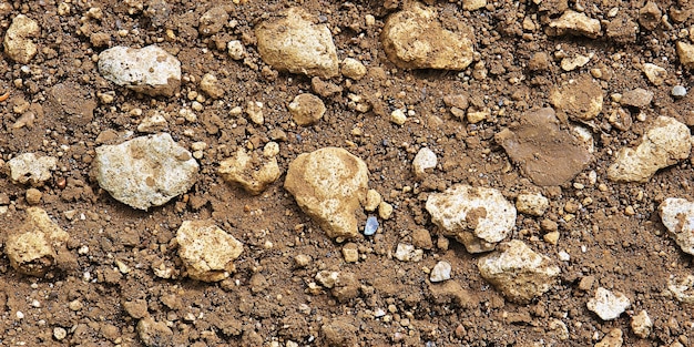 Gratis foto uitzicht op een natuurlandschap met droge grond en uitgedroogde bodem