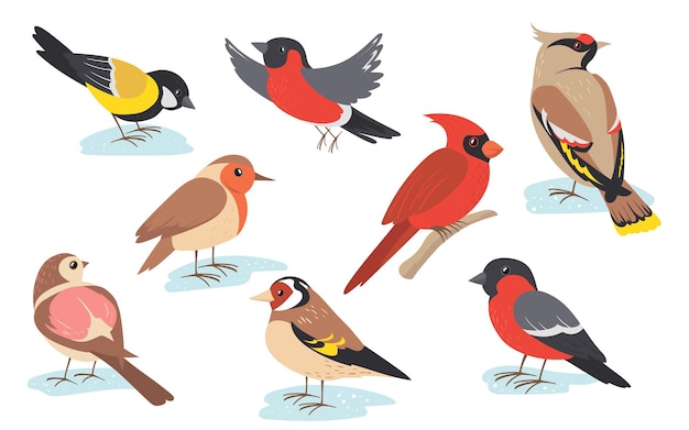 Gratis Vector besneeuwde tijd winter vogels vliegen of tak houden.