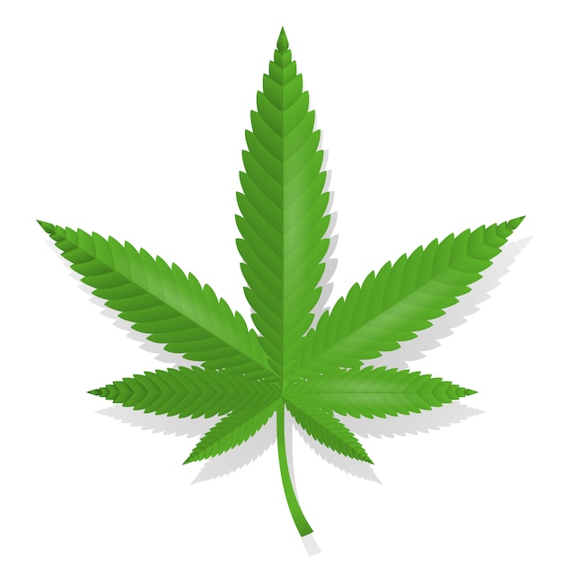 Cannabis leaf pictogram