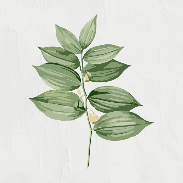 Gevectoriseerde polygonatum bloem sticker overlay ontwerpelement